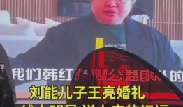 刘能媳妇被人爆料视频,真相与争议